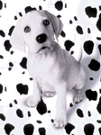 pic for Sleepy Dalmation
